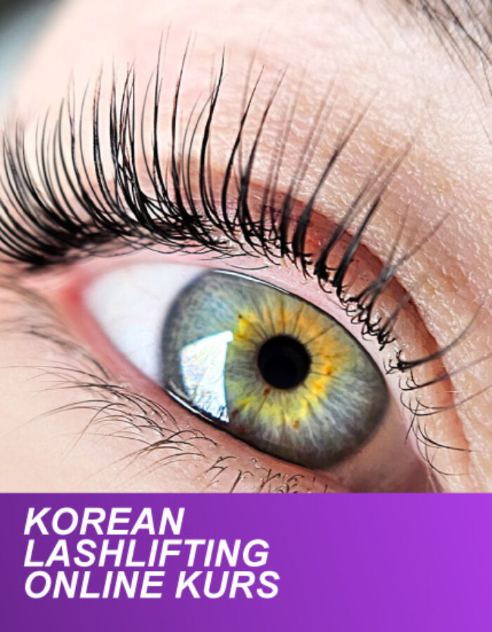 Korean Lashlifting Online Kurs Aktion