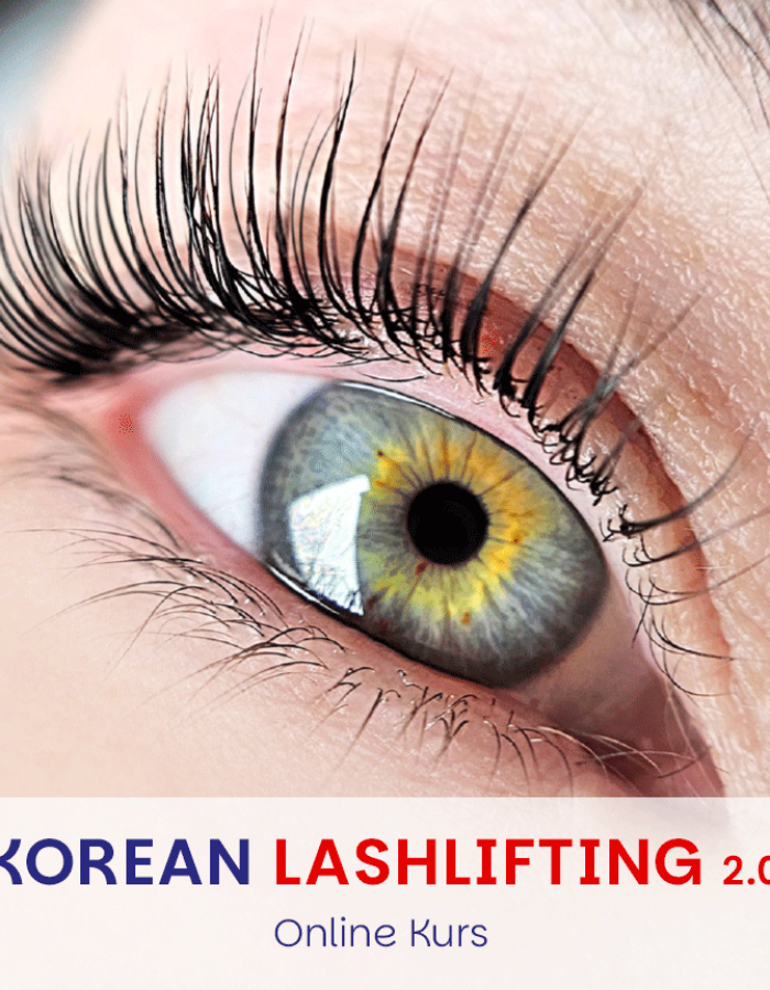 Korean Lashlifting Online Kurs 2.0